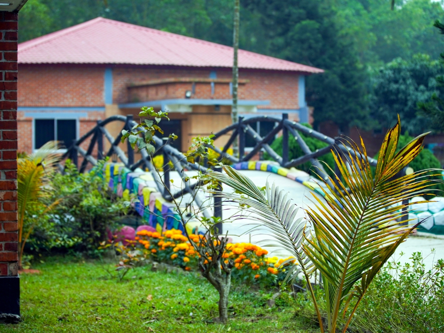 Outdoor Image 2